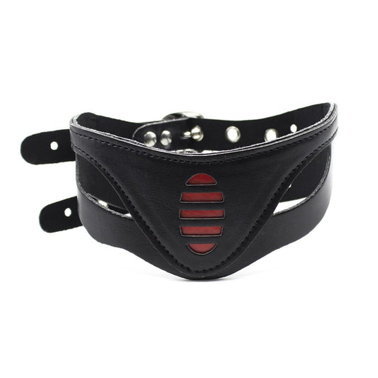 Faux Leather Collar