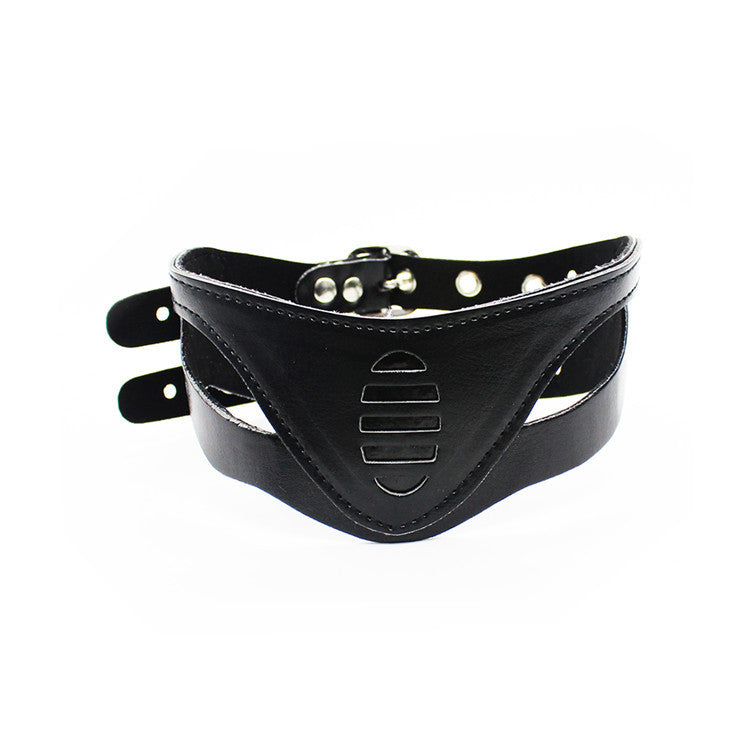 Faux Leather Collar
