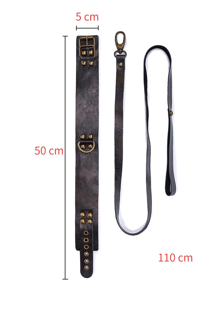 Brown Leather Collar with a Loop Handled Leash