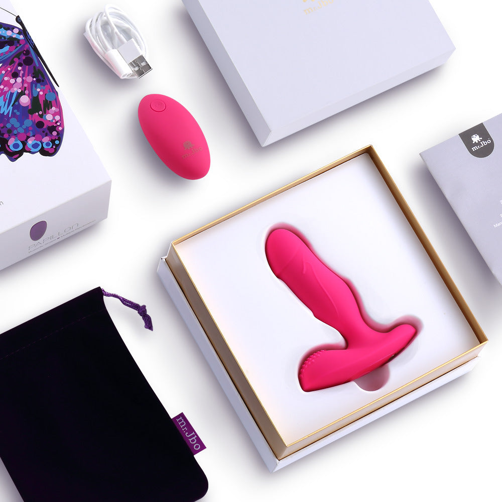 Wearable Vibrator with Dual Motors and Remote Controls