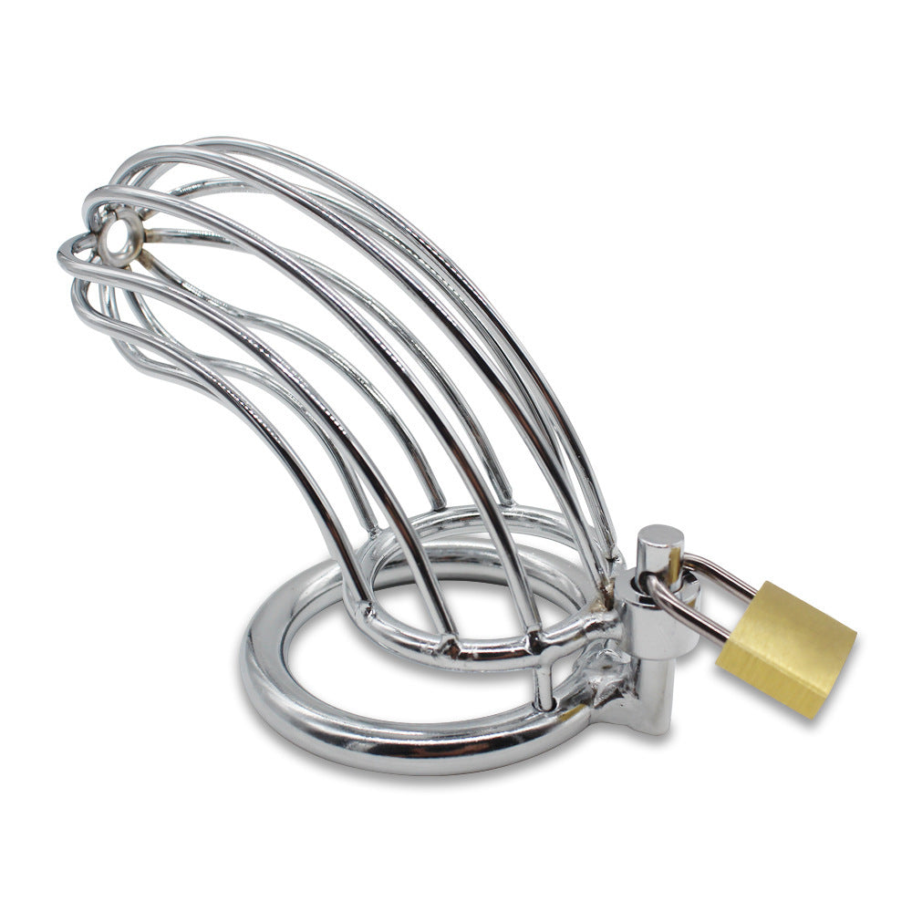 Large Stainless Steel Multi Ring Cock Cage with Lock