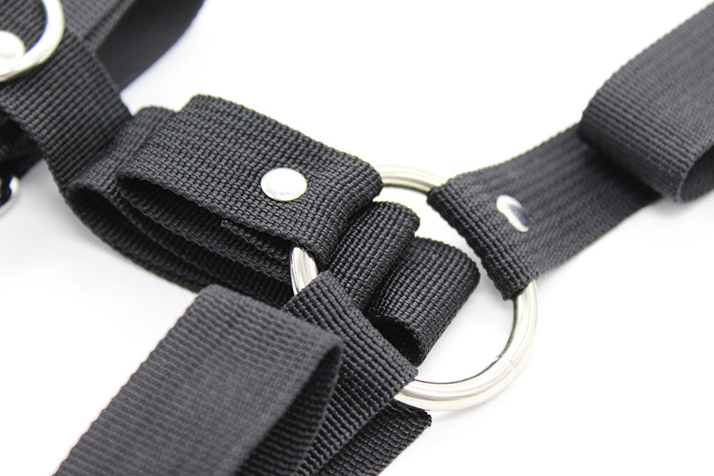 Body Harness with Dog Lead