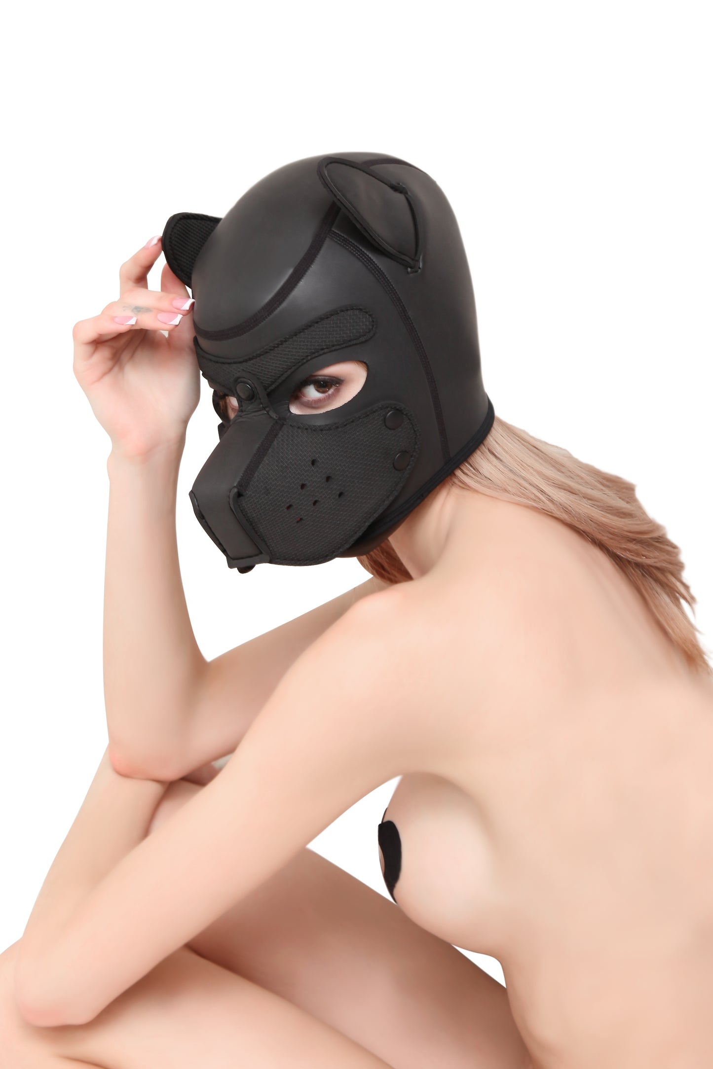 The K9 BDSM/ Fetish Dog Mask