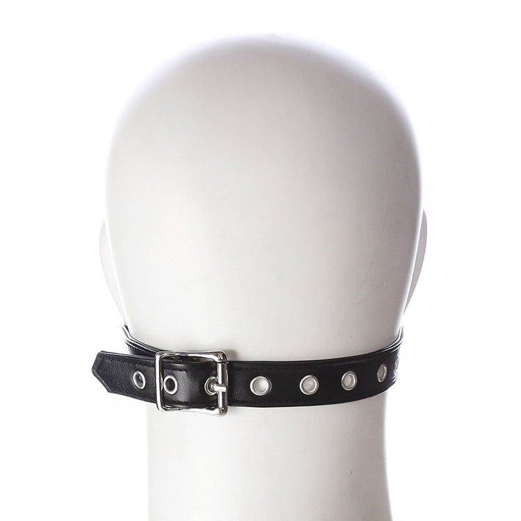 Silicone Ball Gag and Bit