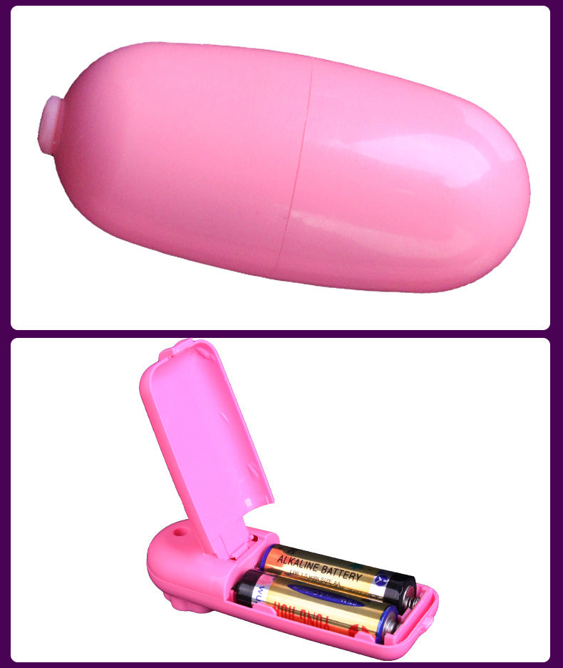 Battery Powered Vibrating Love Egg