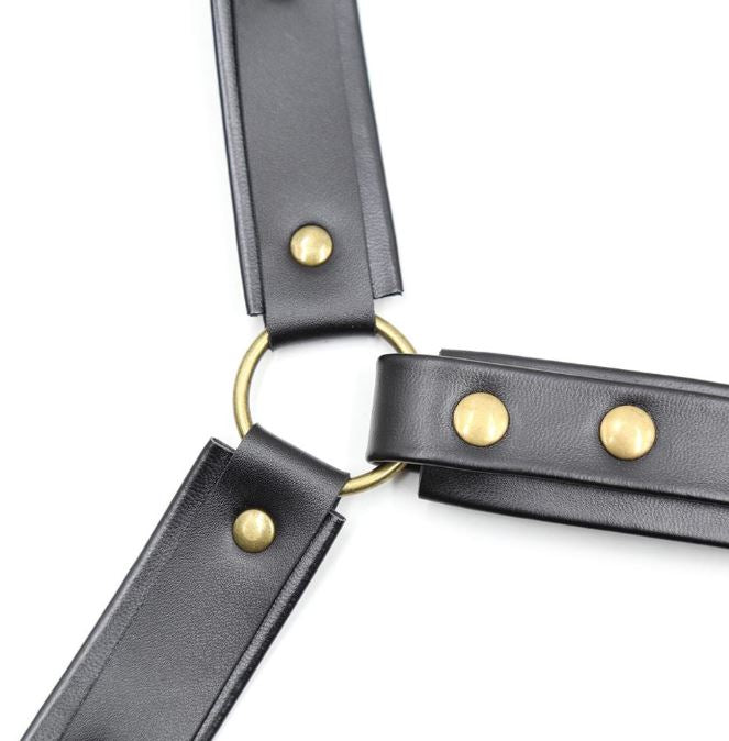 Collar To Waist Harness
