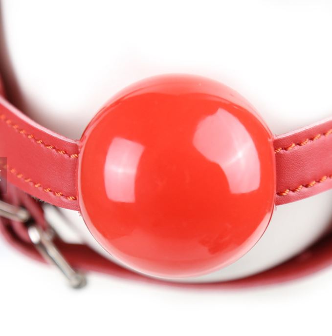 BDSM Blindfold and Gag Face Harness