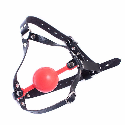 Red Mouth Ball Gag Head Harness