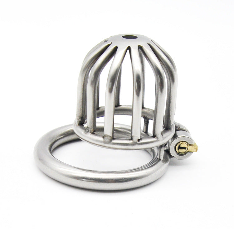 Mouse Trap Stainless Steel Micropenis Chastity Cage – Lace and Leather