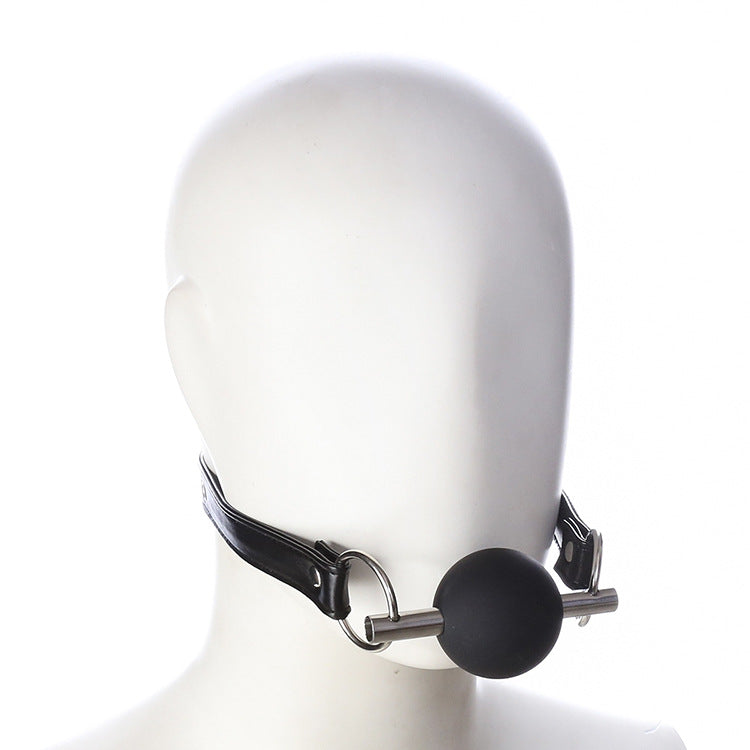 Silicone Ball Gag and Bit