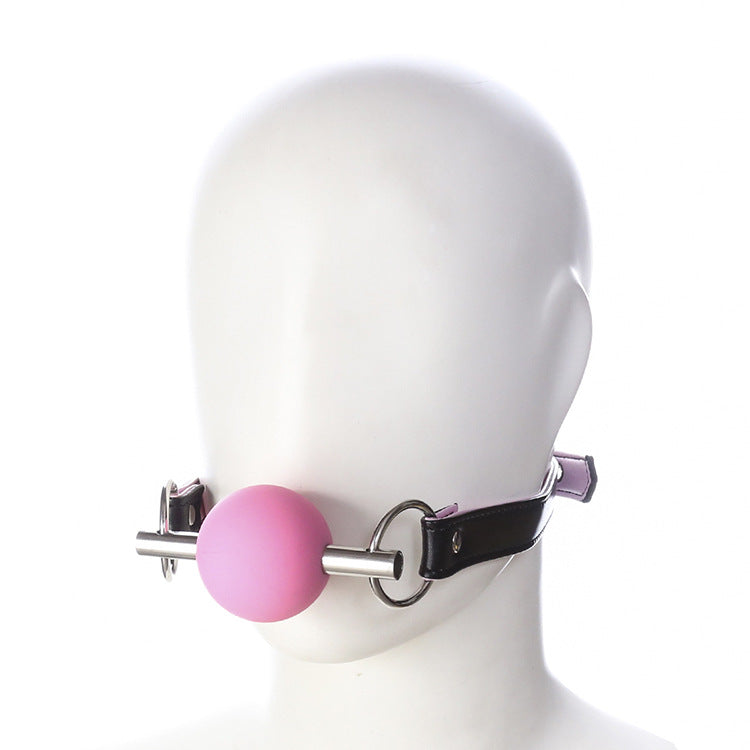 Silicone Ball Gag and Bit