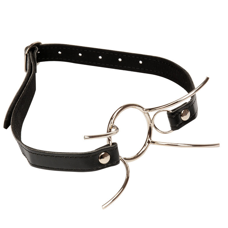 Torture Claw Mouth Gag