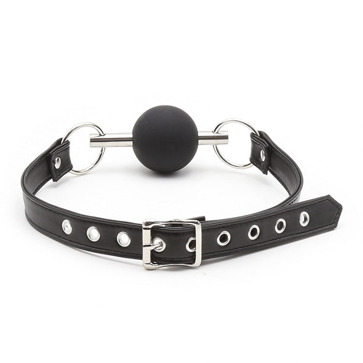 Silicone Ball Gag and Bit