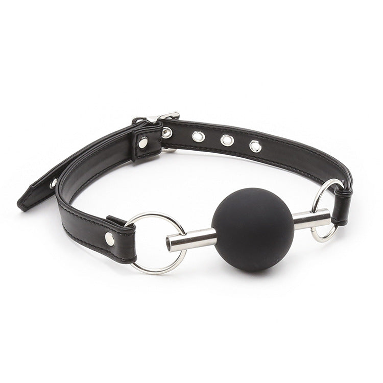 Silicone Ball Gag and Bit