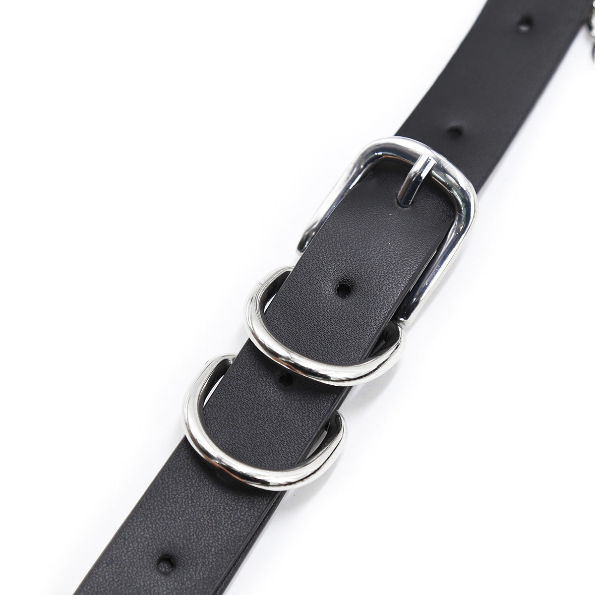 Waist and Buttock Harness