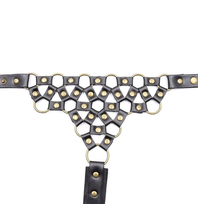 Collar To Waist Harness