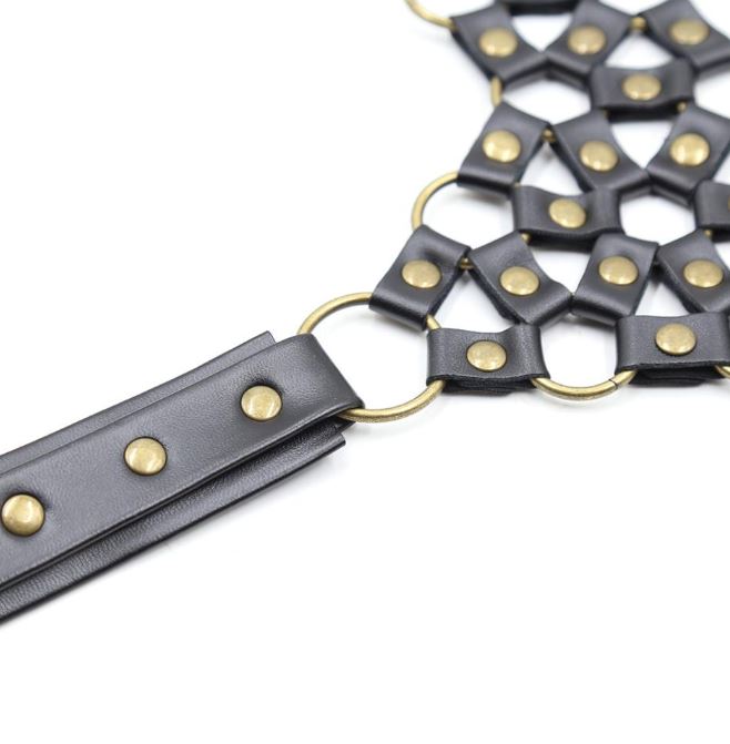 Collar To Waist Harness